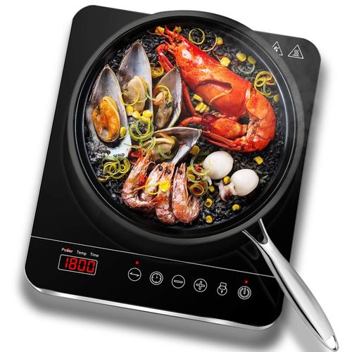 avis plaque induction portable