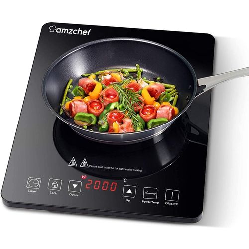 comparatif plaque induction portable